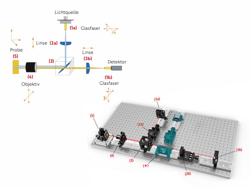GeorgRinger\News\Domain\Model\FileReference:2360