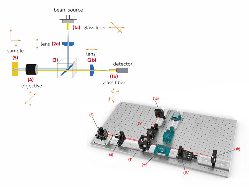 GeorgRinger\News\Domain\Model\FileReference:2359